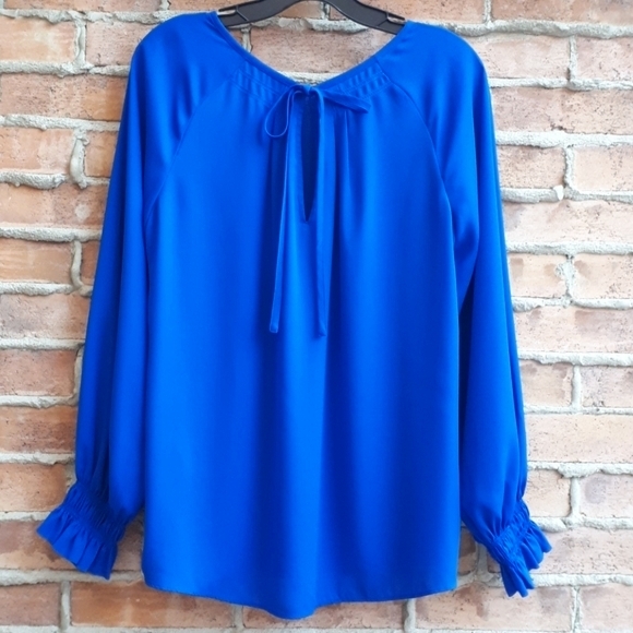 BR Pleated Raglan Blouse - Picture 4 of 8